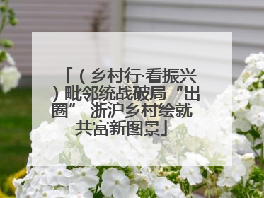 （乡村行·看振兴）毗邻统战破局“出圈” 浙沪乡村绘就共富新图景